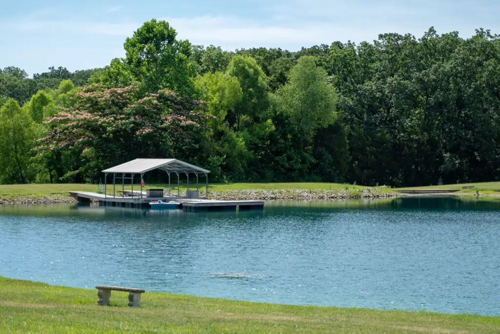 Lake with dock, paddle boats with backround of hundreds of trees