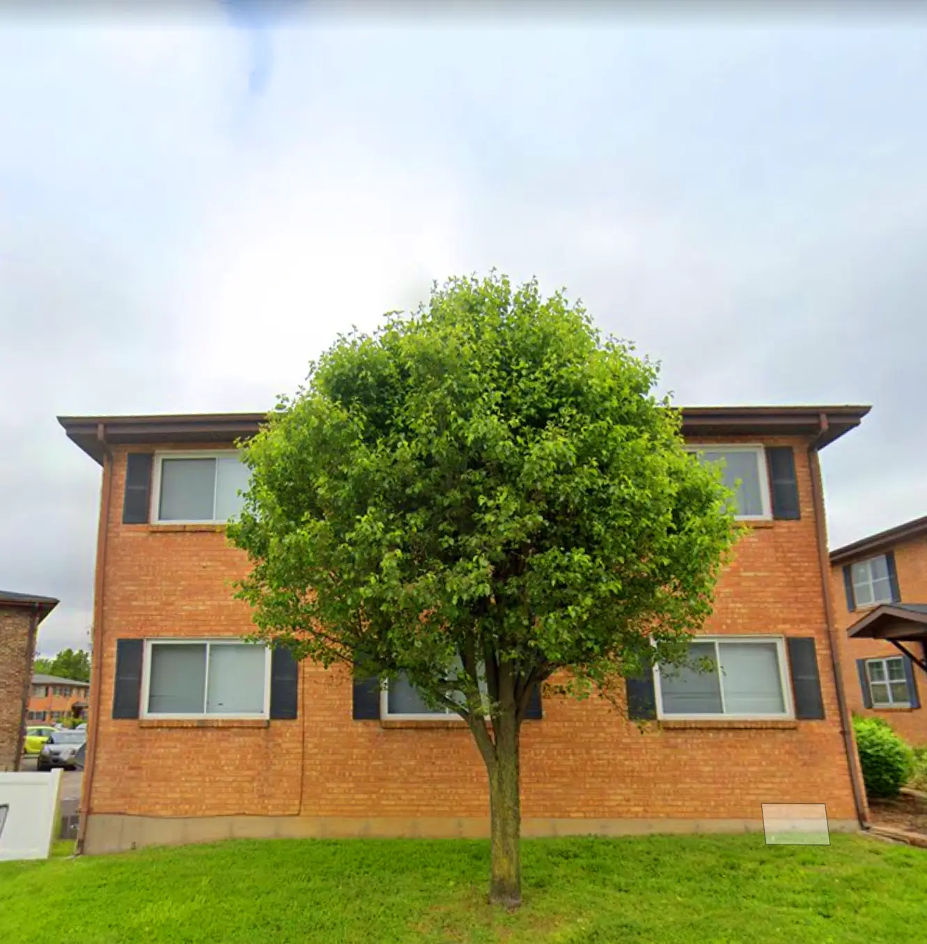 Tree in front of Affton Substance Use Office