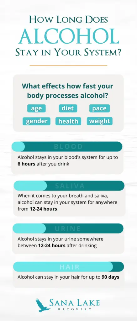 Infographic about how long alcohol stays in your system